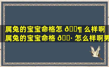 属兔的宝宝命格怎 🐶 么样啊（属兔的宝宝命格 🌷 怎么样啊男孩）